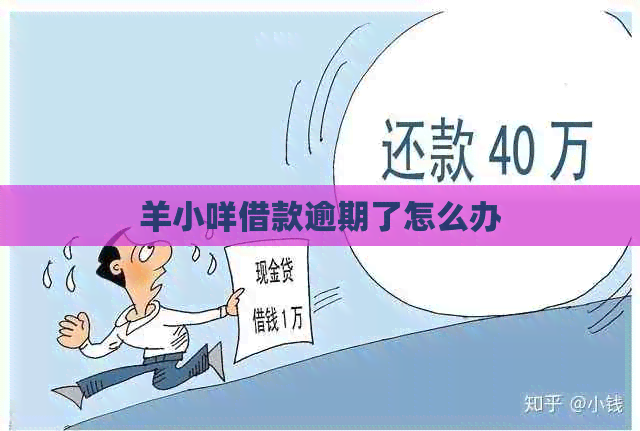 羊小咩借款逾期了怎么办