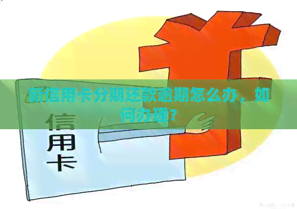 新信用卡分期还款逾期怎么办，如何办理？