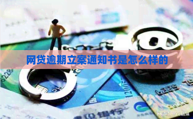 网贷逾期立案通知书是怎么样的