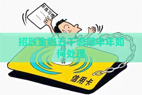 招联金融五千逾期半年如何处理