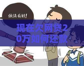 现在欠网贷20万如何还款