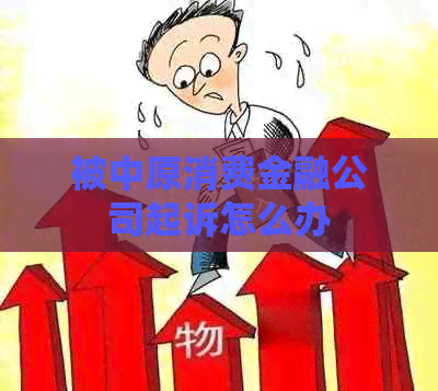 被中原消费金融公司起诉怎么办