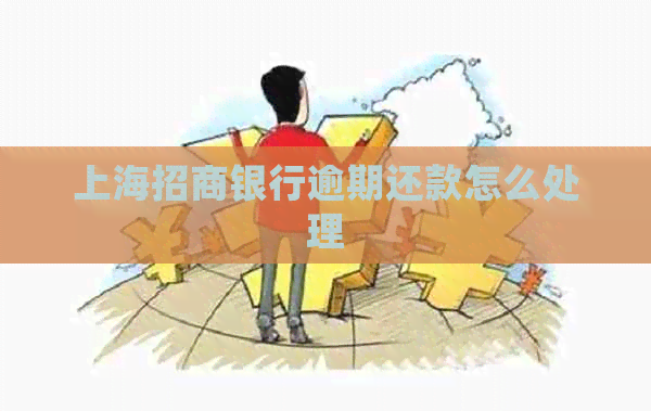 上海招商银行逾期还款怎么处理