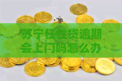 苏宁任性贷逾期会上门吗怎么办