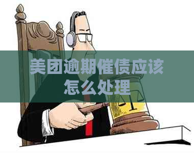 美团逾期催债应该怎么处理