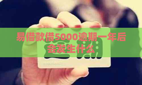 易借款借5000逾期一年后会发生什么