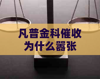 凡普金科为什么嚣张