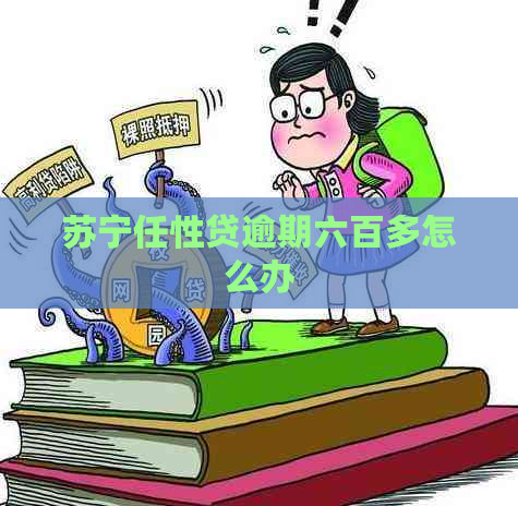 苏宁任性贷逾期六百多怎么办