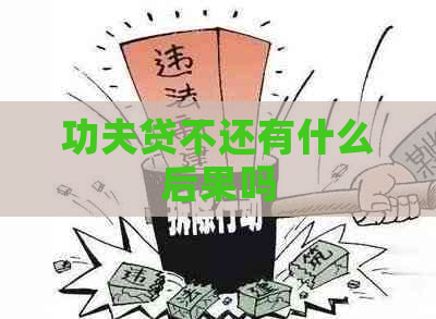 功夫贷不还有什么后果吗