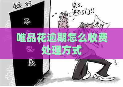 唯品花逾期怎么收费处理方式