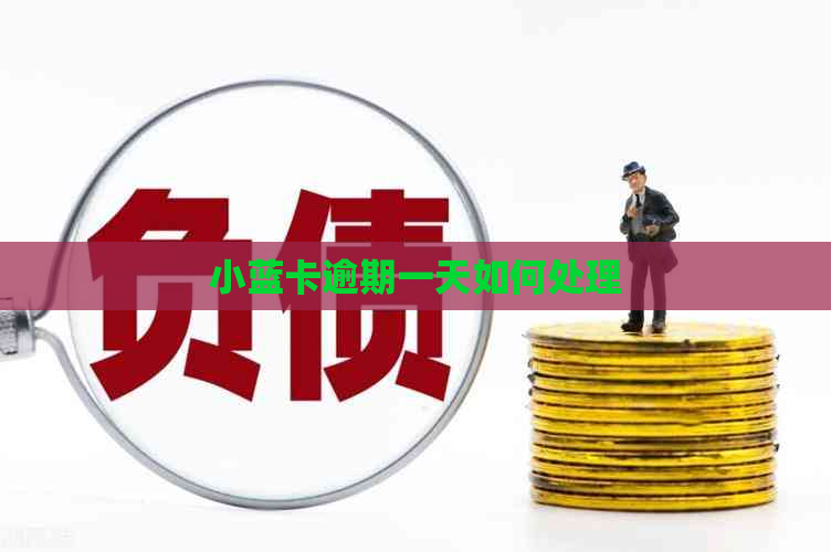 小蓝卡逾期一天如何处理