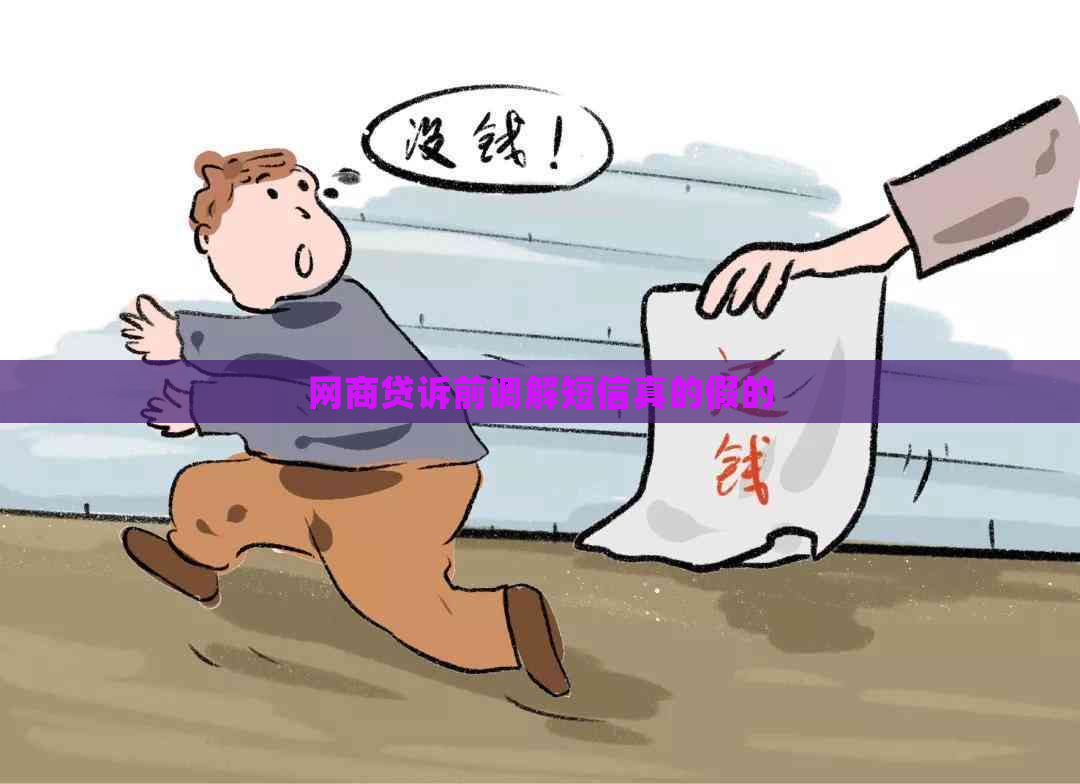 白条贷诉前调解短信真的假的
