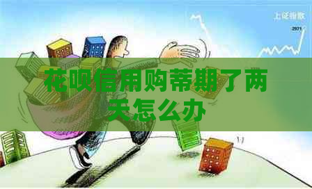 白条信用购蒂期了两天怎么办