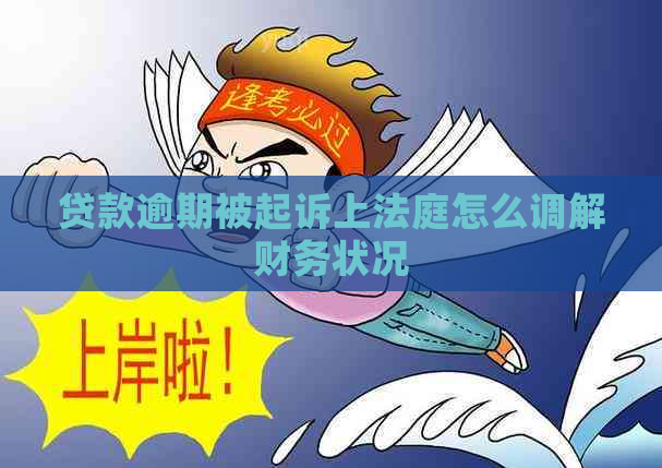 贷款逾期被起诉上法庭怎么调解财务状况