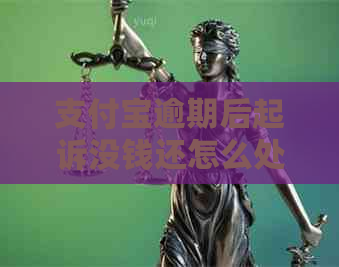 信用卡逾期后起诉没钱还怎么处理法律程序