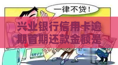 兴业银行信用卡逾期首期还款金额是多少