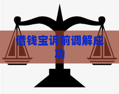 借钱宝诉前调解成功