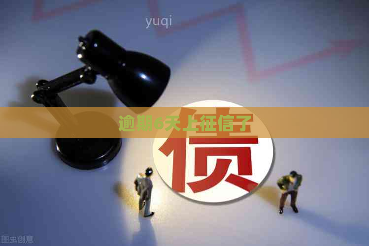 逾期6天上了