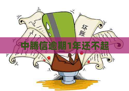 中腾信逾期1年还不起