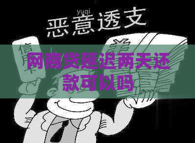 白条贷延迟两天还款可以吗