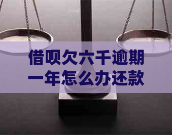 信用卡欠六千逾期一年怎么办还款方式有哪些