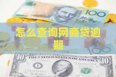 怎么查询白条贷逾期
