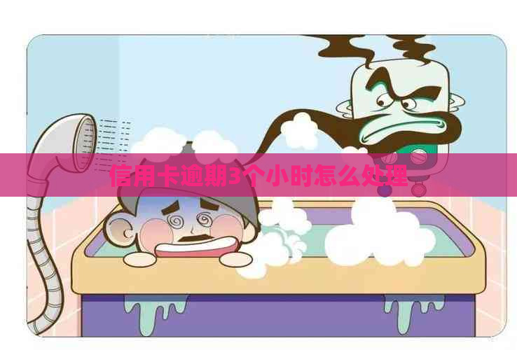 信用卡逾期3个小时怎么处理