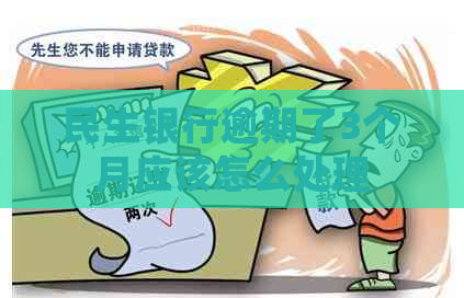 民生银行逾期了3个月应该怎么处理