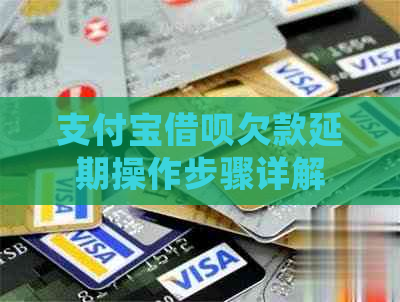 信用卡信用卡欠款延期操作步骤详解