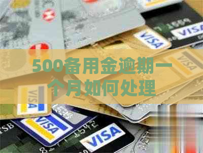 500备用金逾期一个月如何处理
