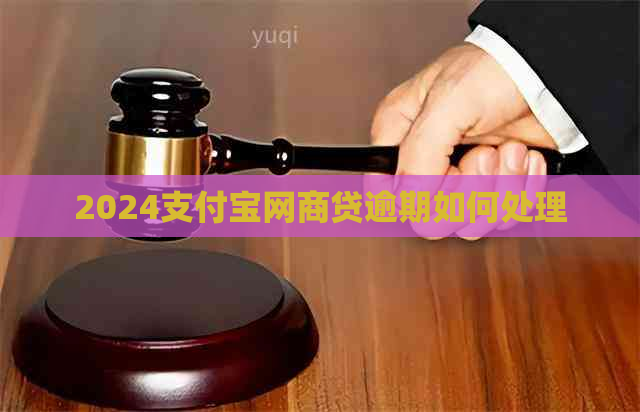 2024信用卡白条贷逾期如何处理