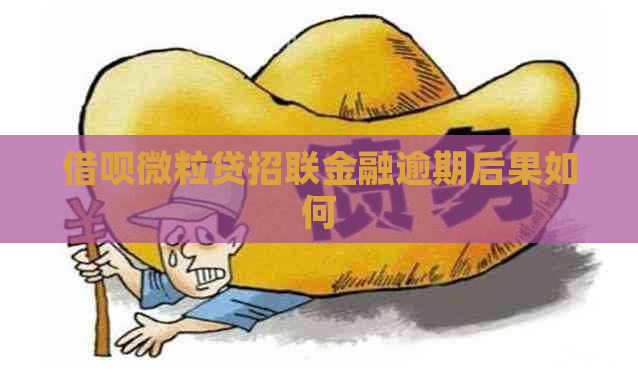 信用卡微粒贷招联金融逾期后果如何