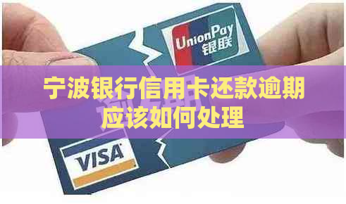 宁波银行信用卡还款逾期应该如何处理