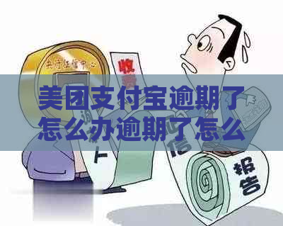 美团信用卡逾期了怎么办逾期了怎么办