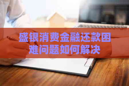盛银消费金融还款困难问题如何解决