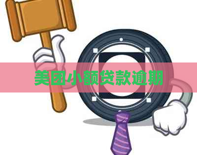 美团小额贷款逾期