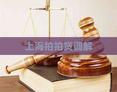上海调解