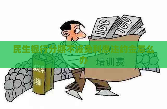 民生银行分期不减免利息违约金怎么办