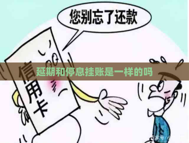 延期和停息挂账是一样的吗