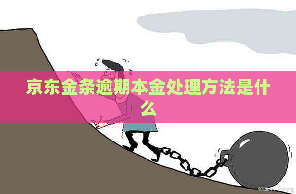 京东金条逾期本金处理方法是什么