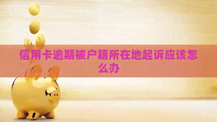 信用卡逾期被户籍所在地起诉应该怎么办