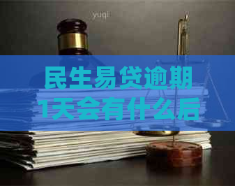 民生易贷逾期1天会有什么后果