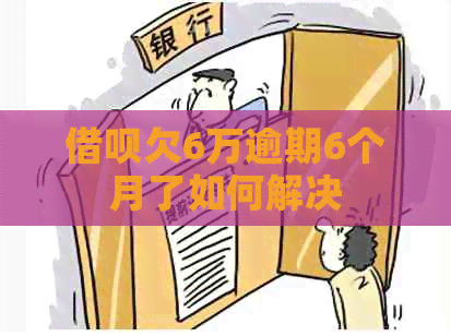 信用卡欠6万逾期6个月了如何解决