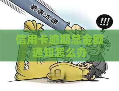 信用卡逾期总金额通知怎么办
