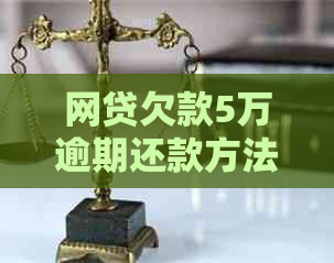网贷欠款5万逾期还款方法