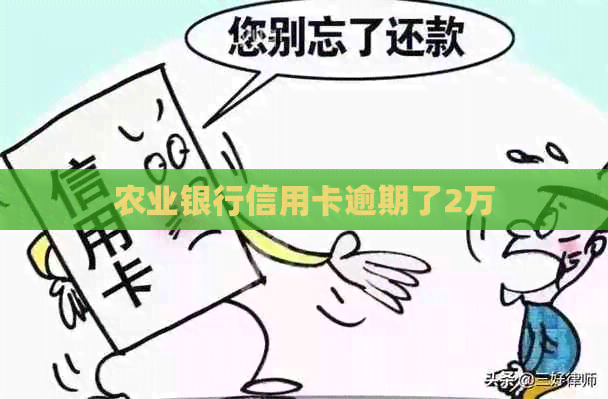 农业银行信用卡逾期了2万