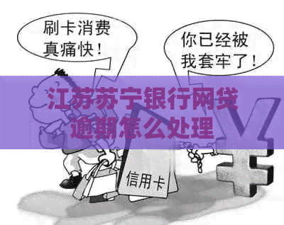 江苏苏宁银行网贷逾期怎么处理