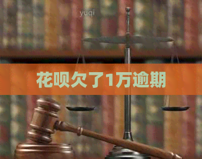 白条欠了1万逾期