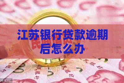 江苏银行贷款逾期后怎么办