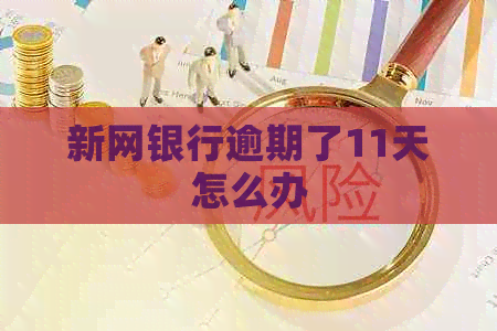 新网银行逾期了11天怎么办